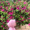 chahinez_71641