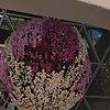 mark_46583