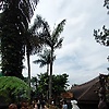 k_66018