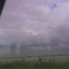 pousi_95395