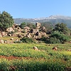Abdeeel01