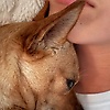 leonidas_40549