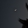 anyaa.7