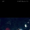 samasayed_17077