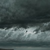 amirrooz208
