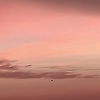 soul_59687