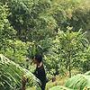 fahri_15615
