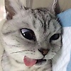 tisa_24742