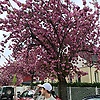 andrey_62086