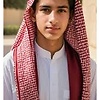 mohamad2008