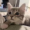 kira_66694