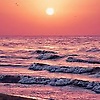 sayem_40277