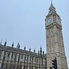 arlyferrei_57376