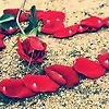 michael_58726