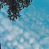 aysesentur_55864