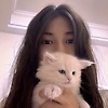 user_613051