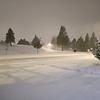 momo_25934