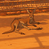 kevin_66559