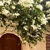 mouniajo_91573