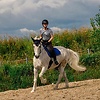diane_bessler
