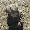 lily_286272