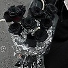 zuha_88540