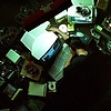 Anas_N-007