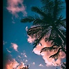 ilys_79025