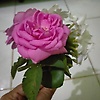 zarraanne_42762