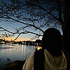 amouna_37969