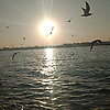 Ahmed_90428