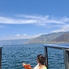 Cicidiani