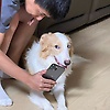 user_484202