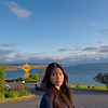 tran_63153