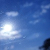 Lively_H