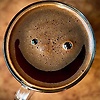 dave_42461