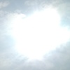 malik_73010