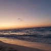 Kiro_Adel