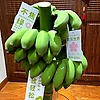 user_667632
