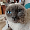 user_762919