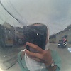primrose_10725