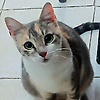 mohammed_10859