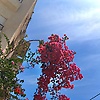 agam_65122