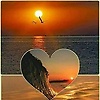 jasmina_72863