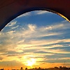 alex_47383