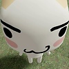 Kay_toru