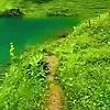 shoaib_61280