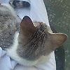 lailaa_80791