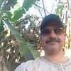 hamdynoor