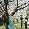 iris_34677